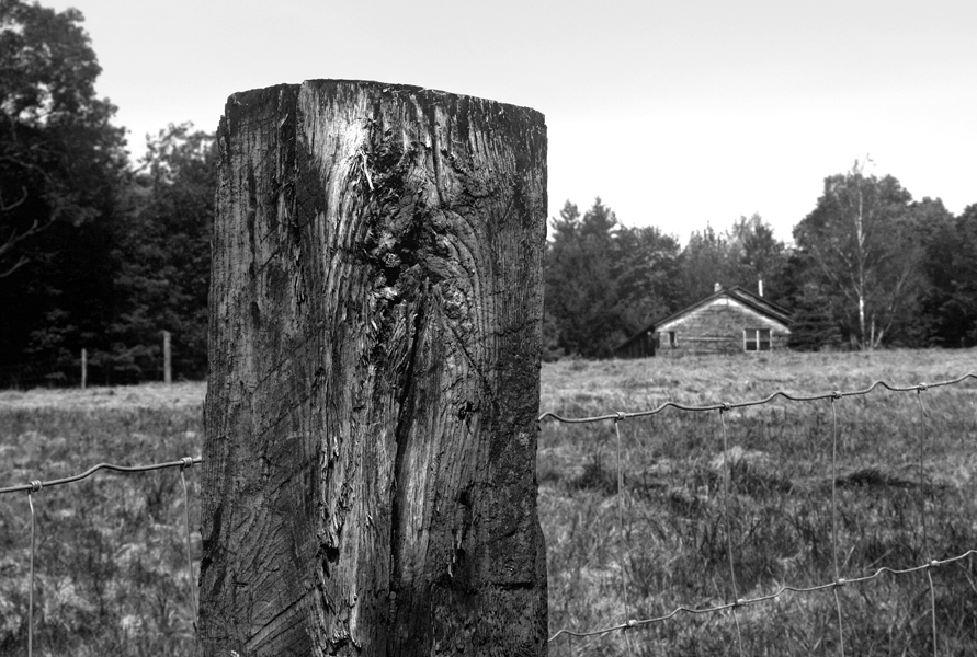 Peter Welch: Fence Post