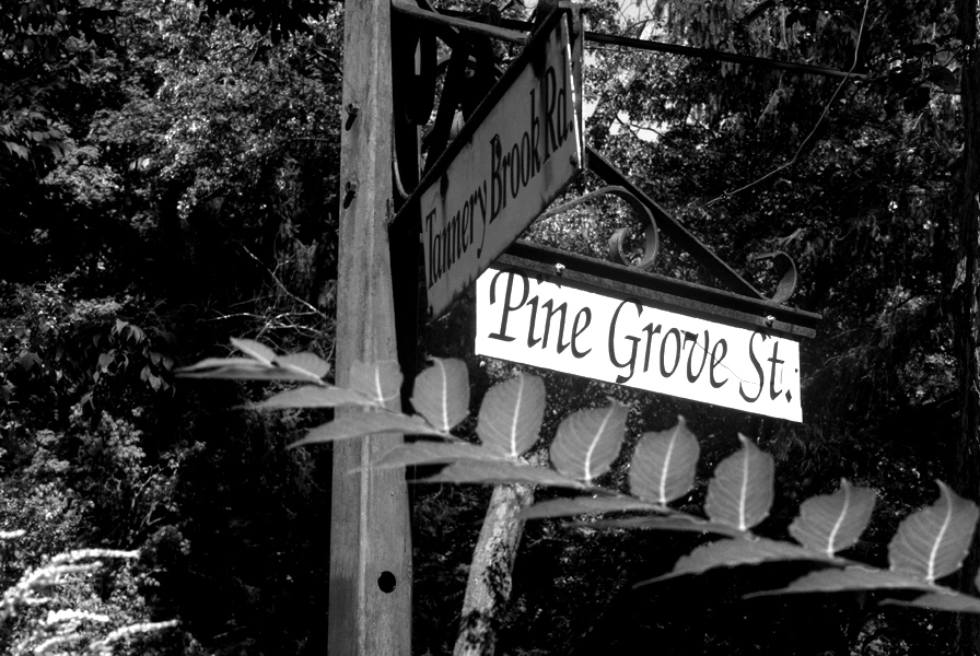 Peter Welch: Pine Grove Street