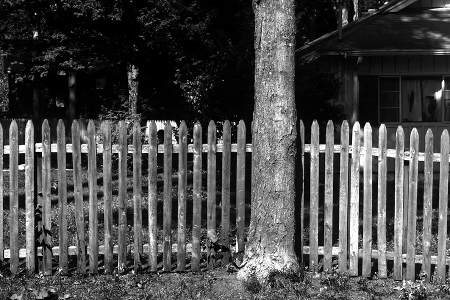Peter Welch: Woodstock Fence & Tree